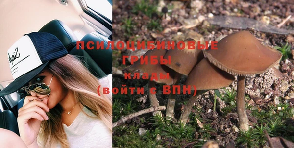 бошки Белокуриха