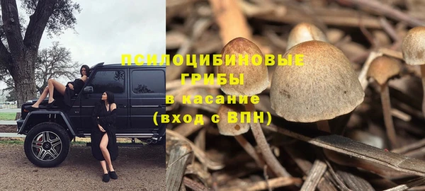 бошки Белокуриха