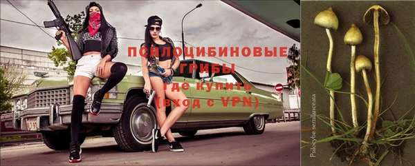 молекула духа Тихорецк