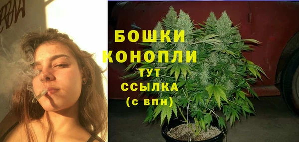 бошки Белокуриха