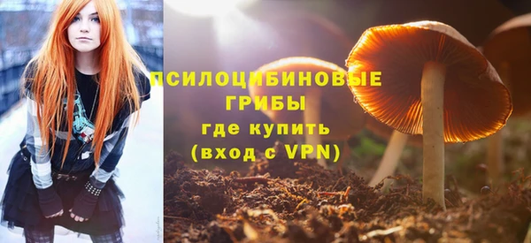 бошки Белокуриха
