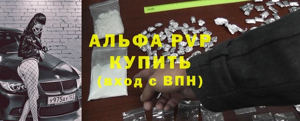 эйфоретик Беломорск